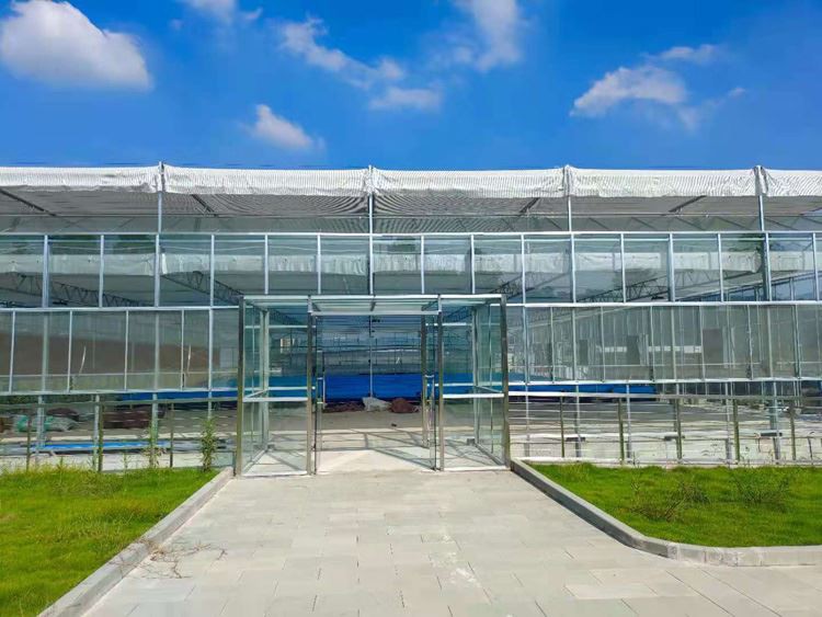 Glass greenhouse creative agriculture Glass greenhouse creative agriculture
