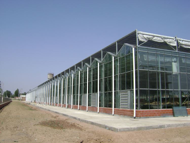 Common basic practices in winter warm greenhouse construction