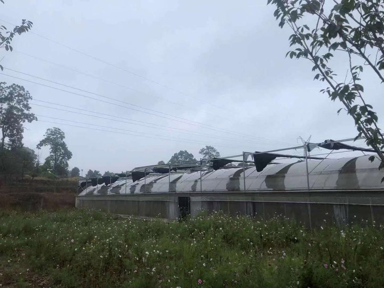 How to use the construction of vegetable greenhouse to improve economic benefits