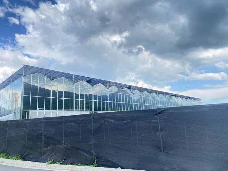 Where is the greenhouse not recommended to be built