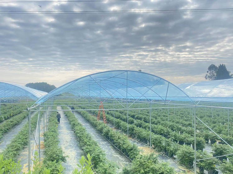 What is the design life of the glass greenhouse 