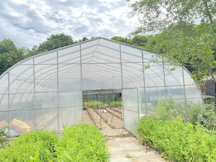 Greenhouse construction must consider its durability, how to manage it correctly Greenhouse construction must consider its durability, how to manage it correctly