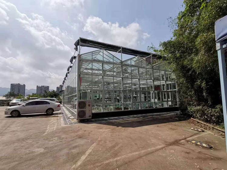 The most high-end glass greenhouse with full intelligence The most high-end glass greenhouse with full intelligence