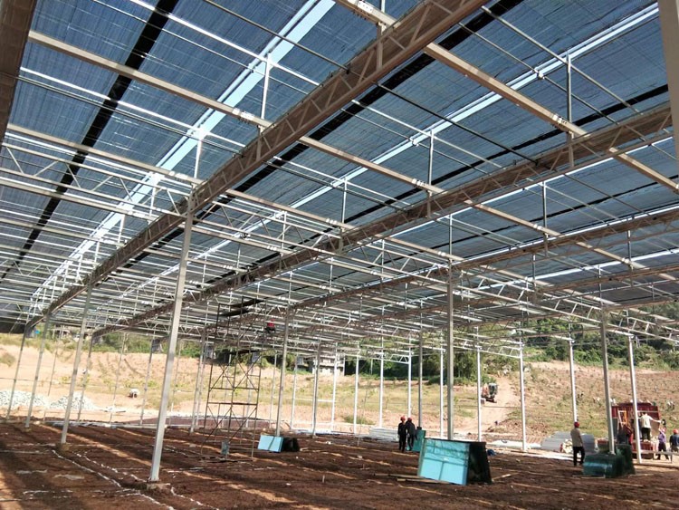 Causes and Prevention of Acute Shrinkage of Greenhouse Vegetables Causes and Prevention of Acute Shrinkage of Greenhouse Vegetables