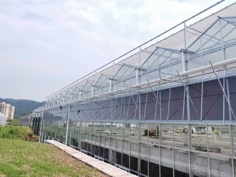 Glass Greenhouse Glass Greenhouse