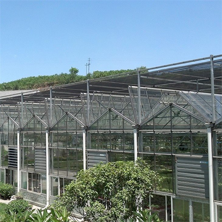 clear polythene sheeting for greenhouse price