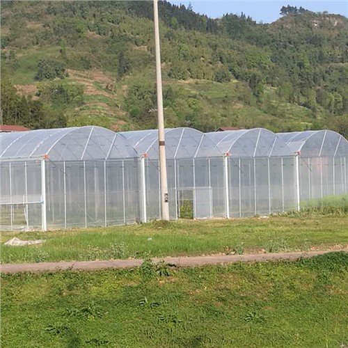6 Mil szklarniowy plastikowy magazyn domowy
