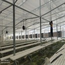 Folia termoizolacyjna